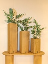 BRAN SAP+PDP PLAS VE/MARR S (30x4x98cm)